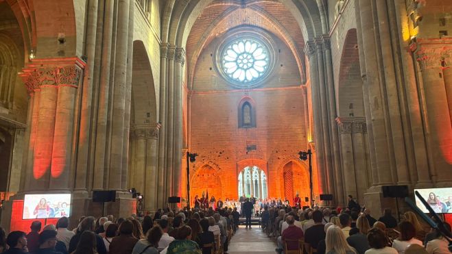 WhatsApp Image 2026 04 22 at 20.40.09