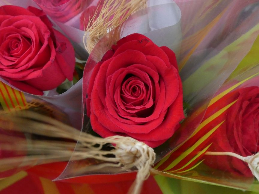 La Diada de Sant Jordi arriba a Tortosa amb homenatges a Vergés i Pérez Bonfill 2