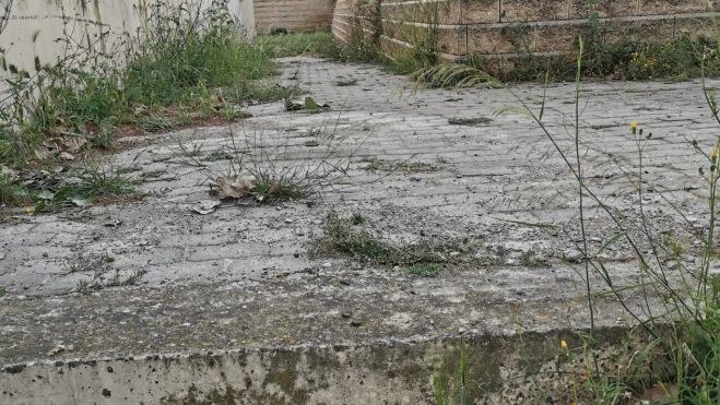 bruticia seu vella 3