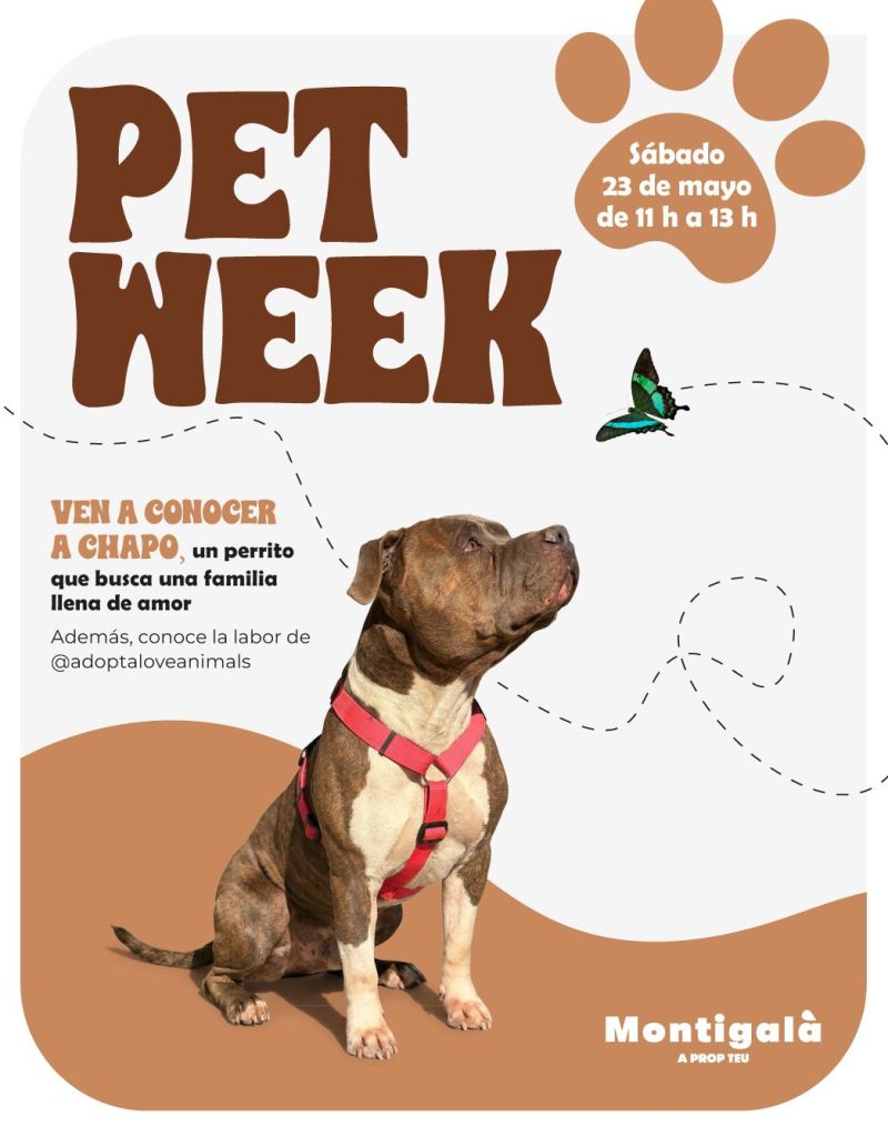 MG Petweek Post