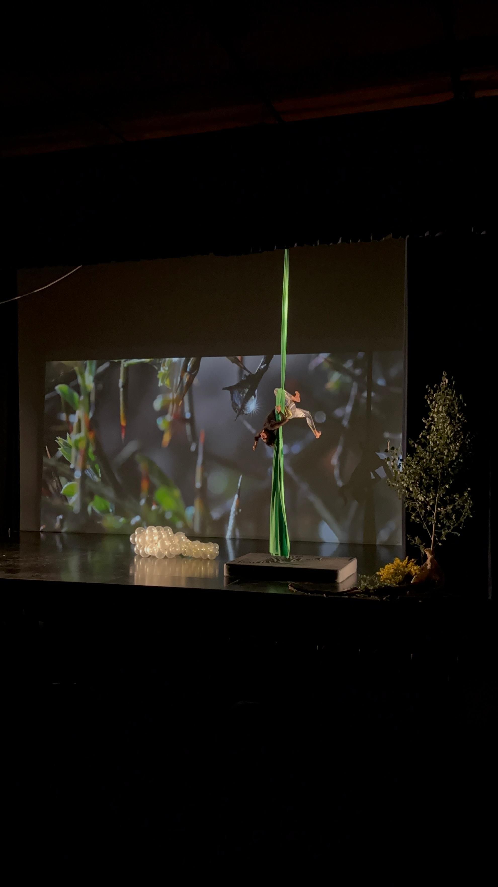 Tremp es converteix en capital de la poesia amb una nova edició del Festival Tribulossi 3