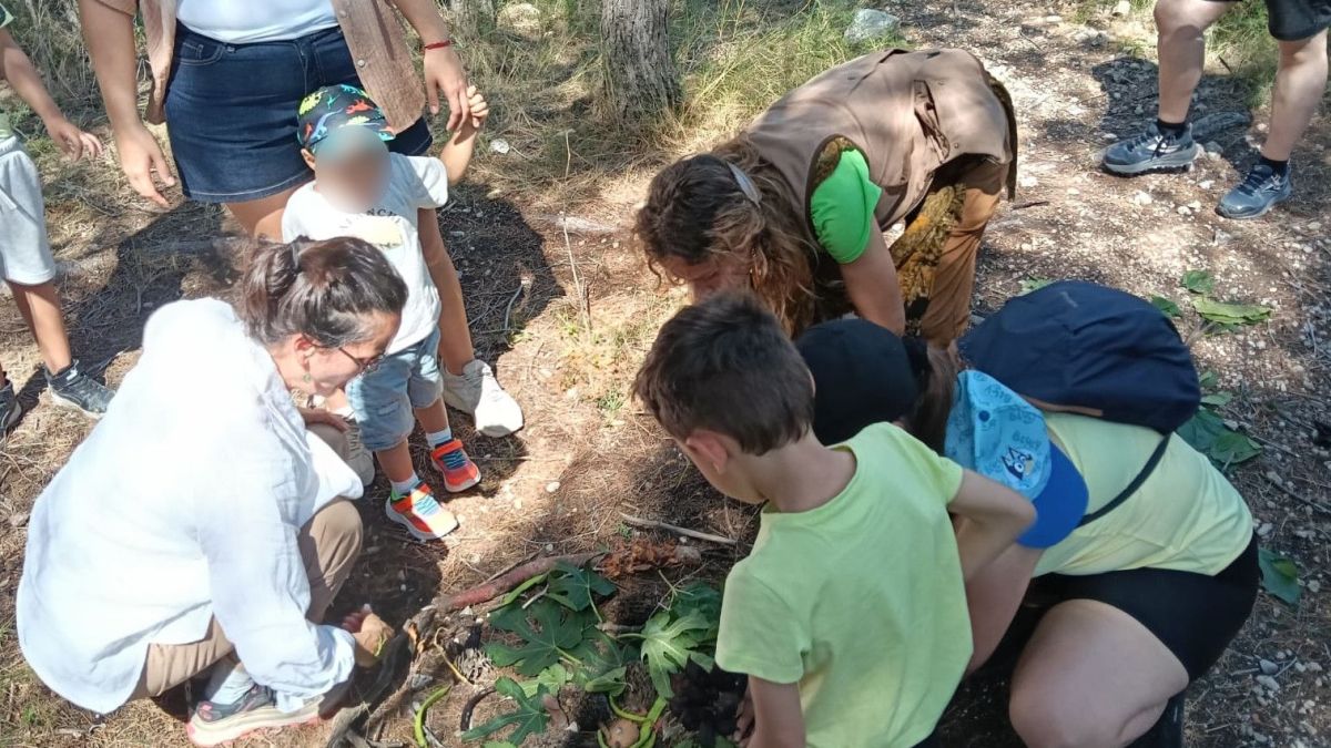 Sant Pere de Ribes impulsa el primer Bany de Bosc adaptat per a infants amb necessitats especials 3