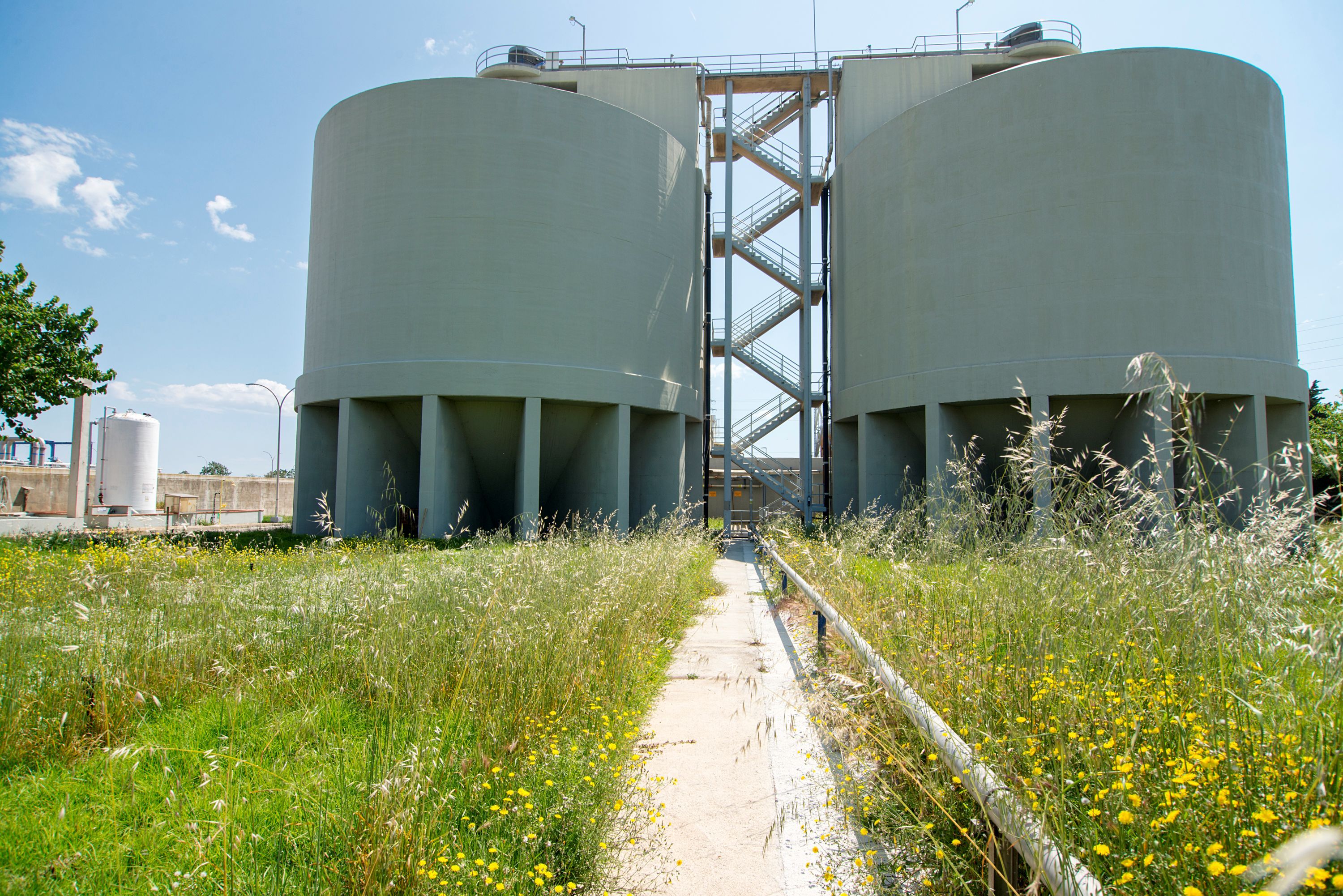 La depuradora de Gavà-Viladecans, ejemplo de la integración de biodiversidad en las instalaciones del ciclo del agua
