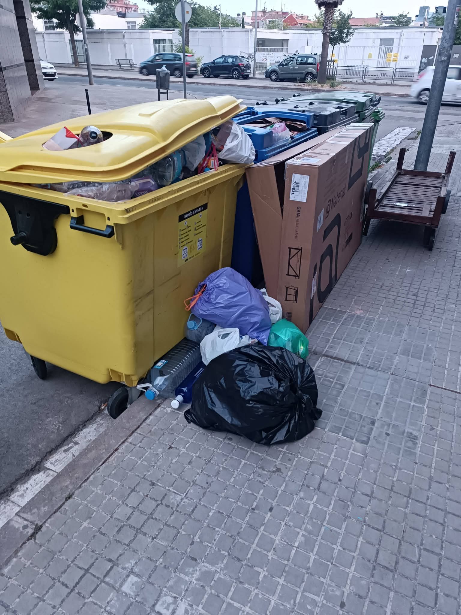 La brossa s’acumula als carrers de Terrassa 2