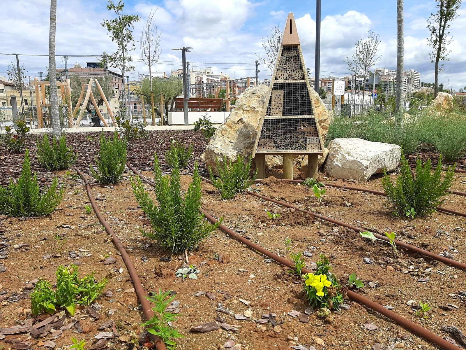El Port de Tarragona crea refugis per a papallones i insectes pol·linitzadors 1