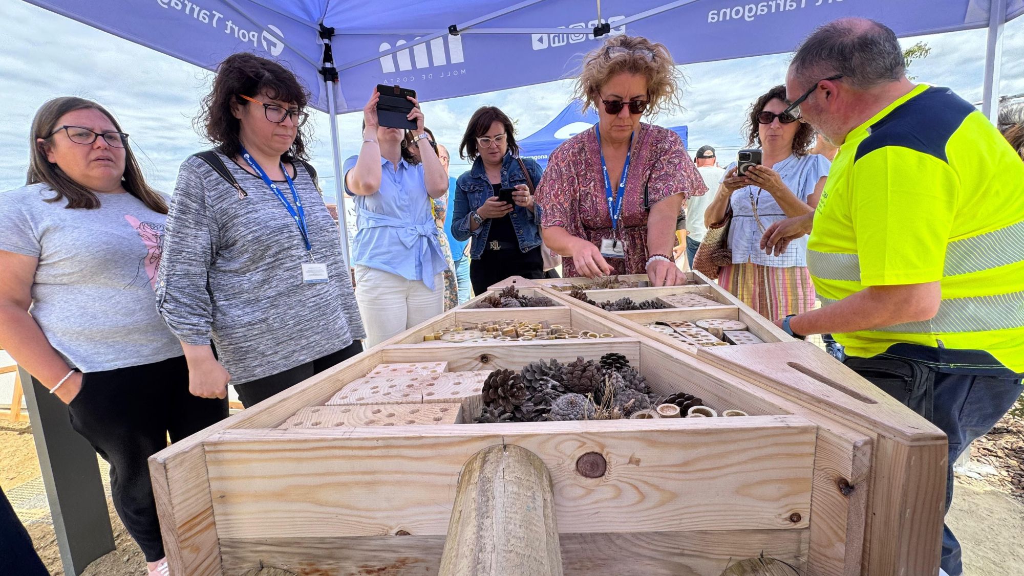 El Port de Tarragona crea refugis per a papallones i insectes pol·linitzadors 2