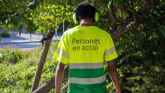 Entrem   Servei de jardineria