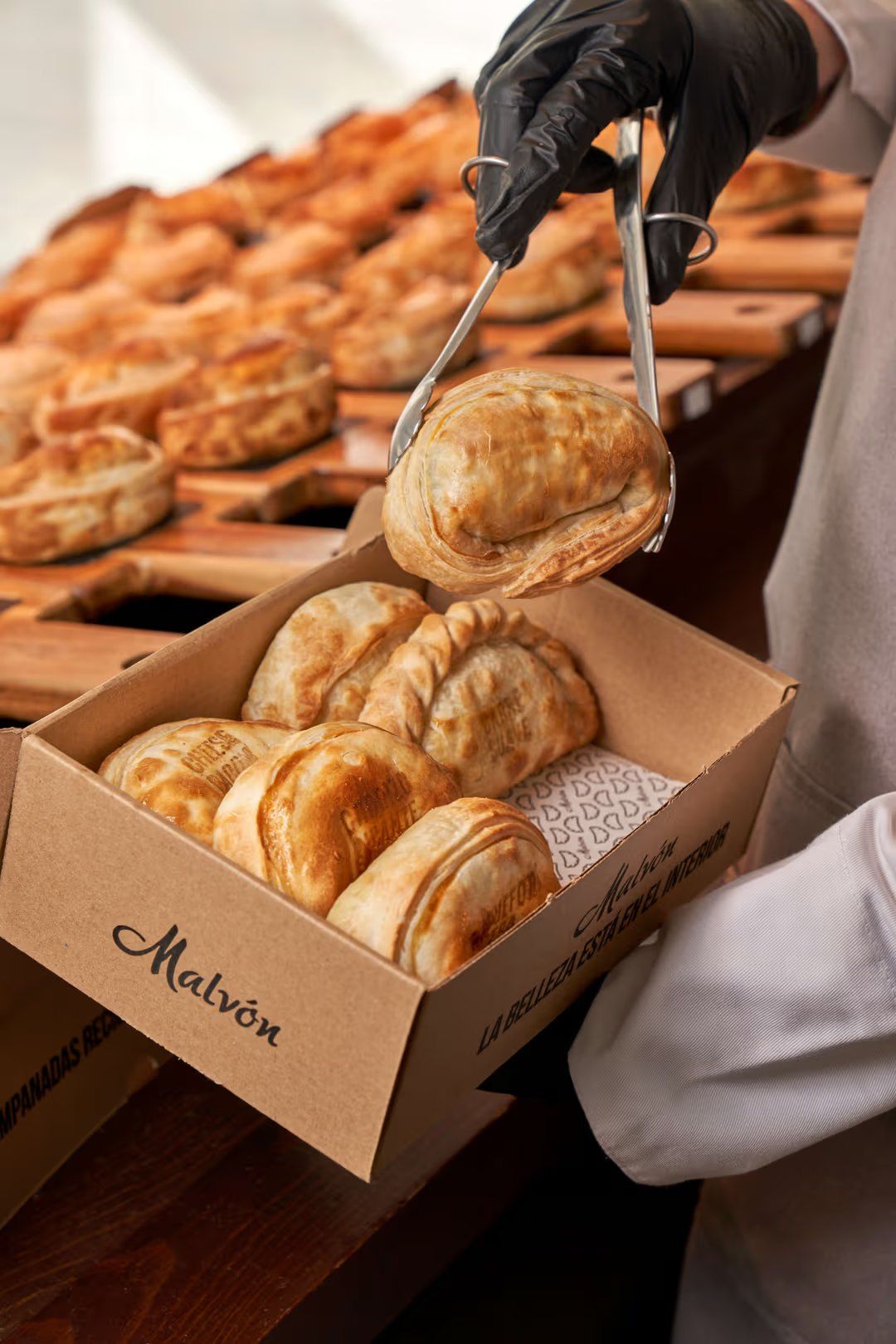 Caixa d'empanades Malvón