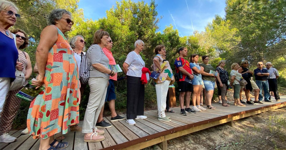 ajuntament salou (60)