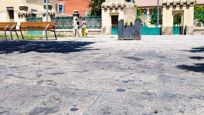 Brutícia al carrer Lluís Conpanys (JuntsXCat Paeria).
