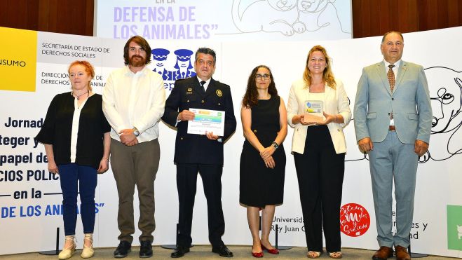 Mollet placa mèrit