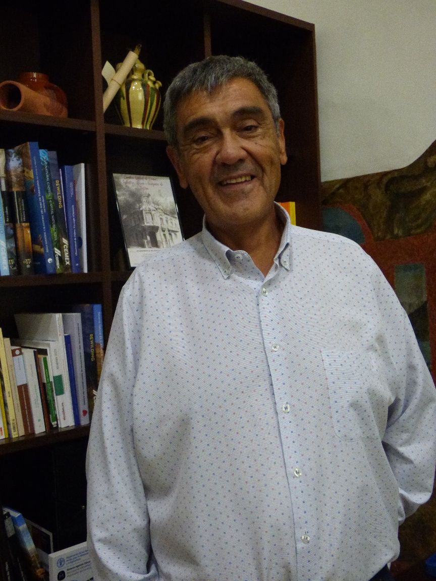 Joan Castor Gonell
