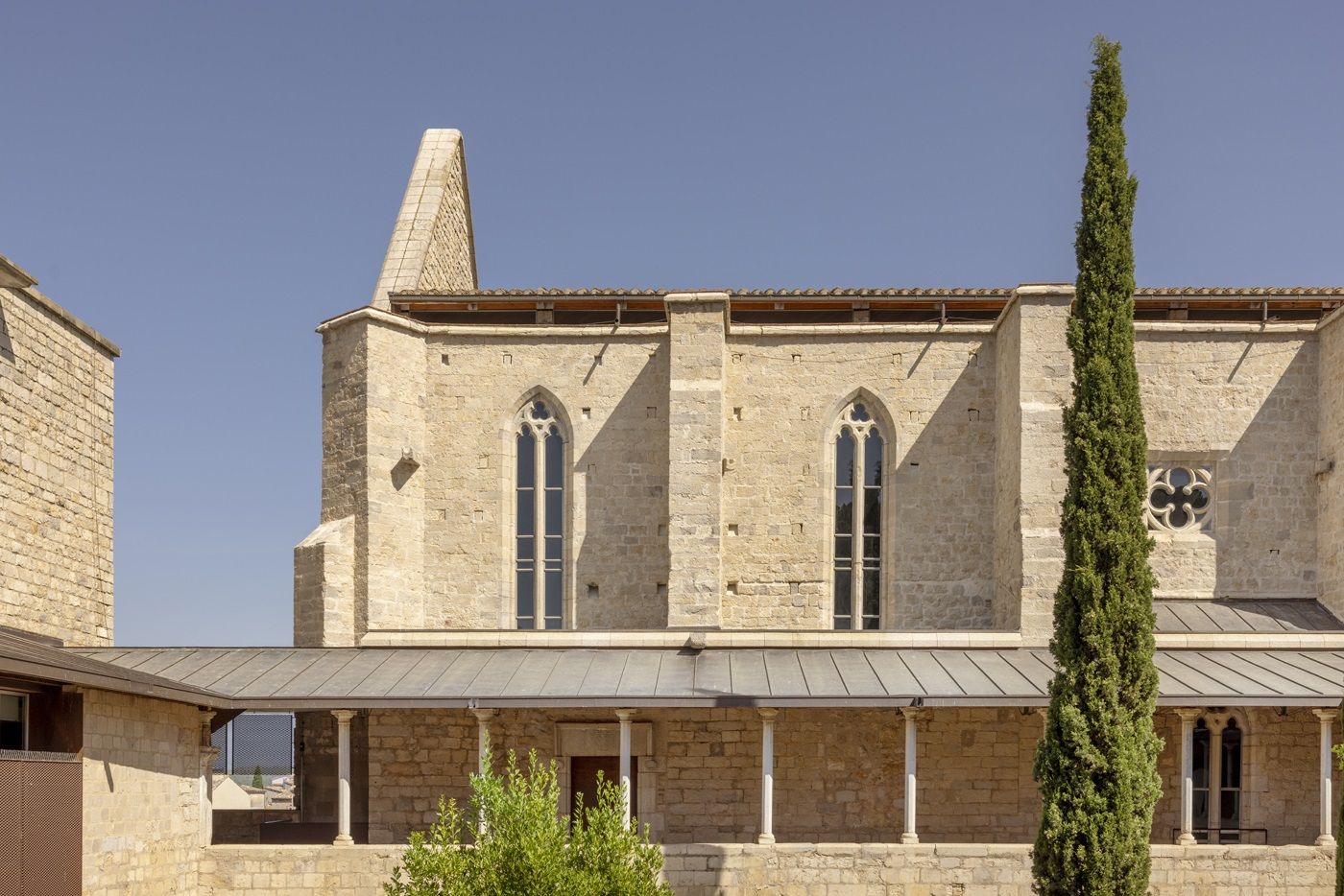 Nius de falciots a Sant Domènec | FOTO: Oriol Gómez