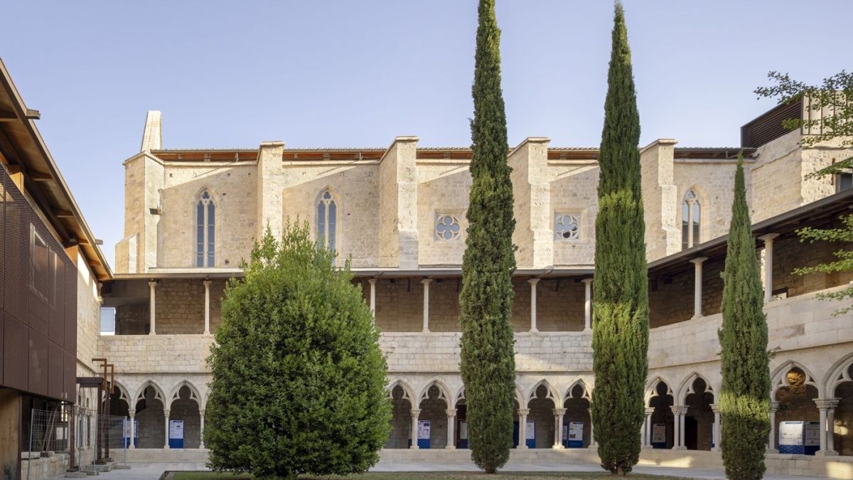 Nius de falciots a Sant Domènec de Oriol Gómez