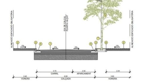 SECCIO CARRER OLERDOLA (002)
