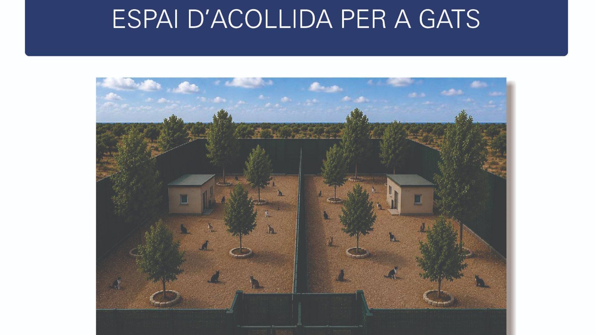Projecte de zona d'acollida per a gats a l'Ampolla