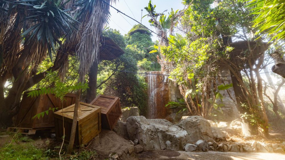 Instal·lacions de Makamanu Jungle