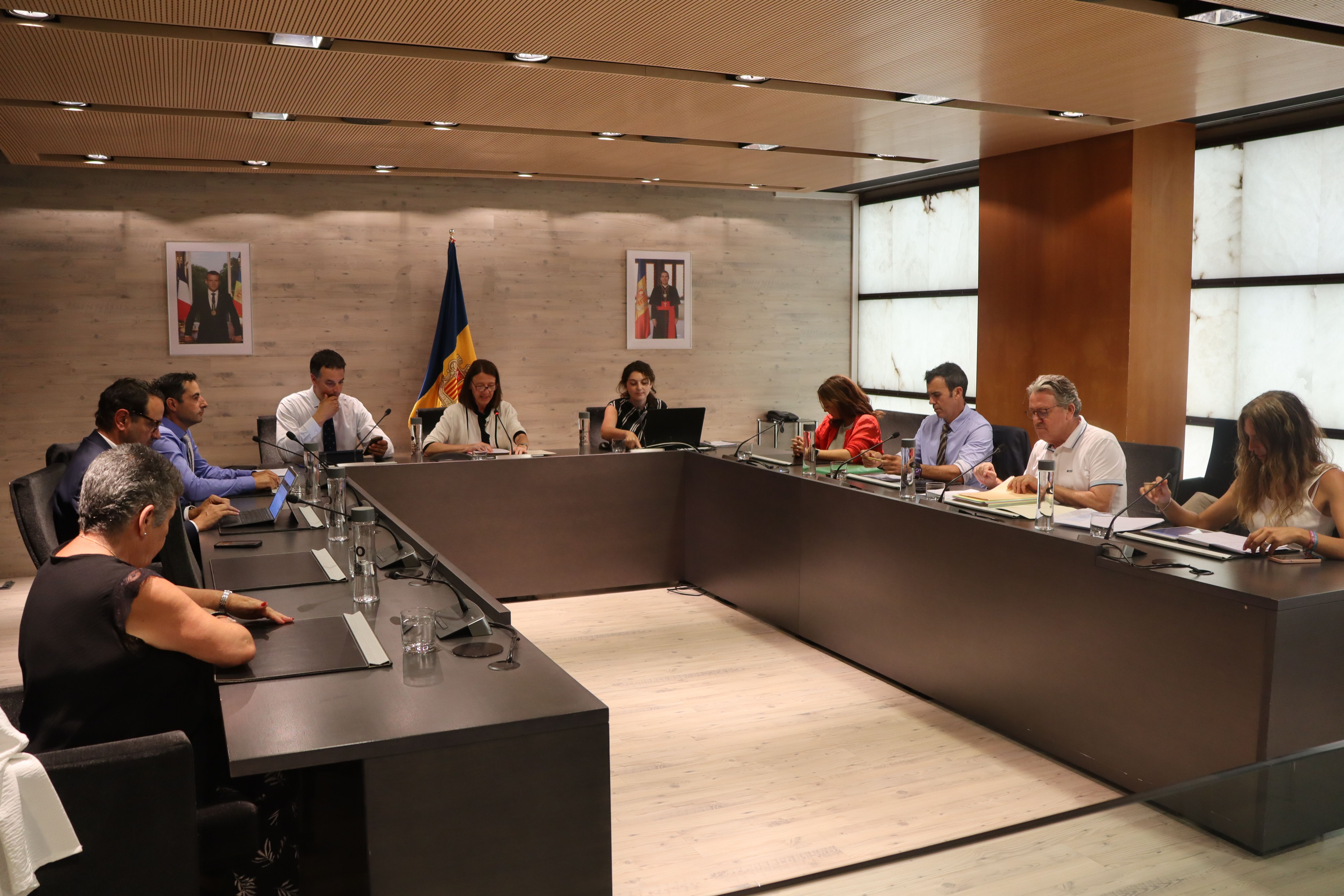 Durante la sesión de Consejo de común de Ordino | FOTO: R.S. (ANA)