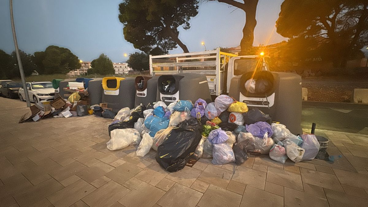 Brossa Mont roig del Camp 5