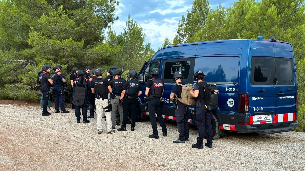Dispositiu policial per la plantació de marihuana desmantellada a Montblanc