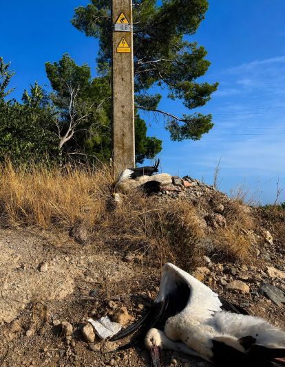 Mont roig del Camp