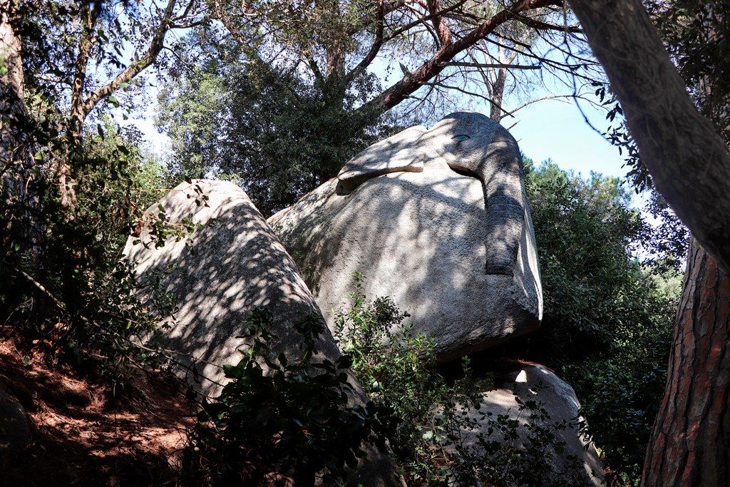 L'Elefant al bosc encantat d'Òrrius | FOTO:  Clemens Schmillen / Wikipedia