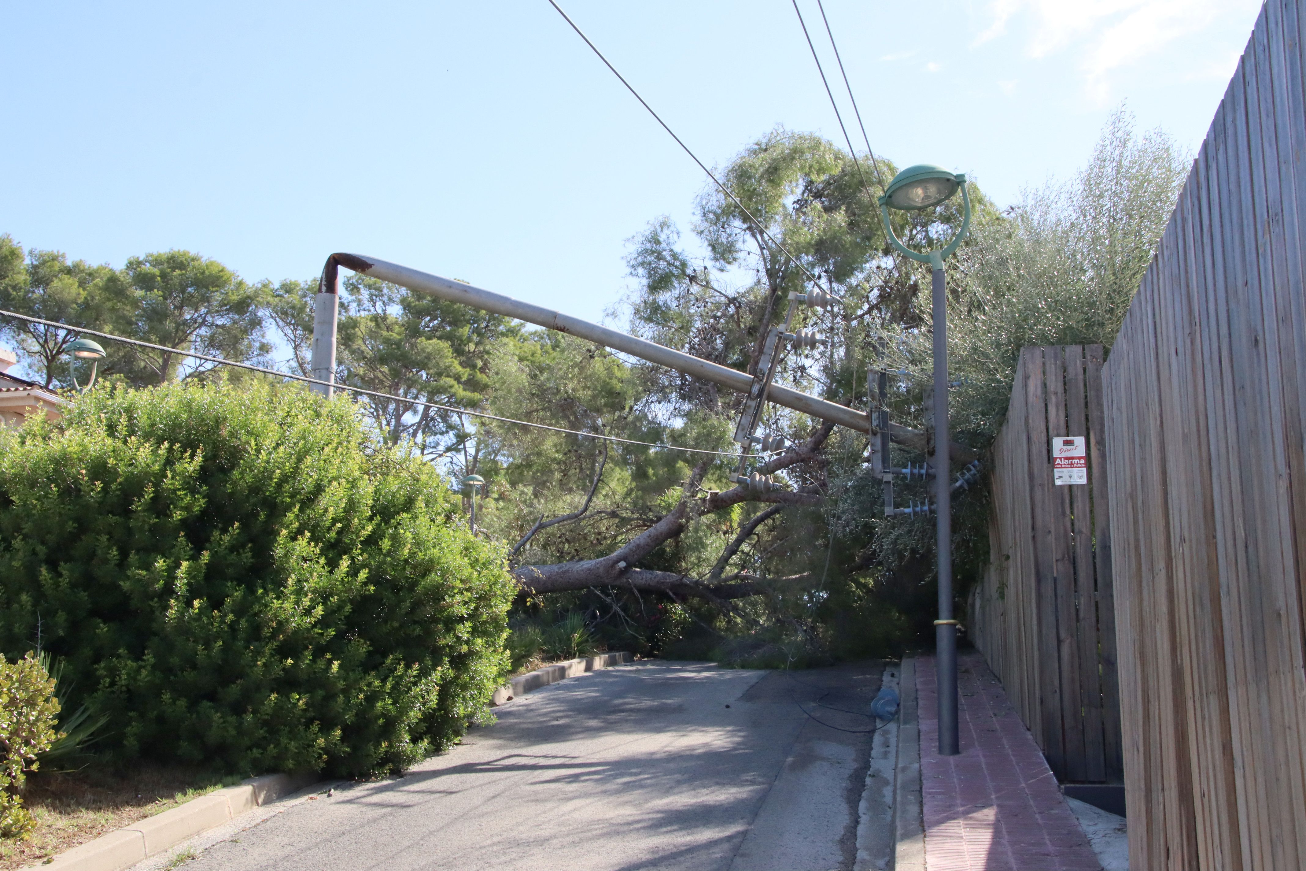 Imagen de un poste eléctrico doblado por la caída de un árbol en Monnars.