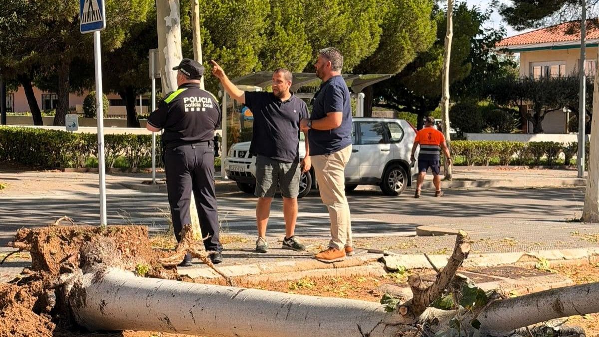 388 Afectacions temps violent.2