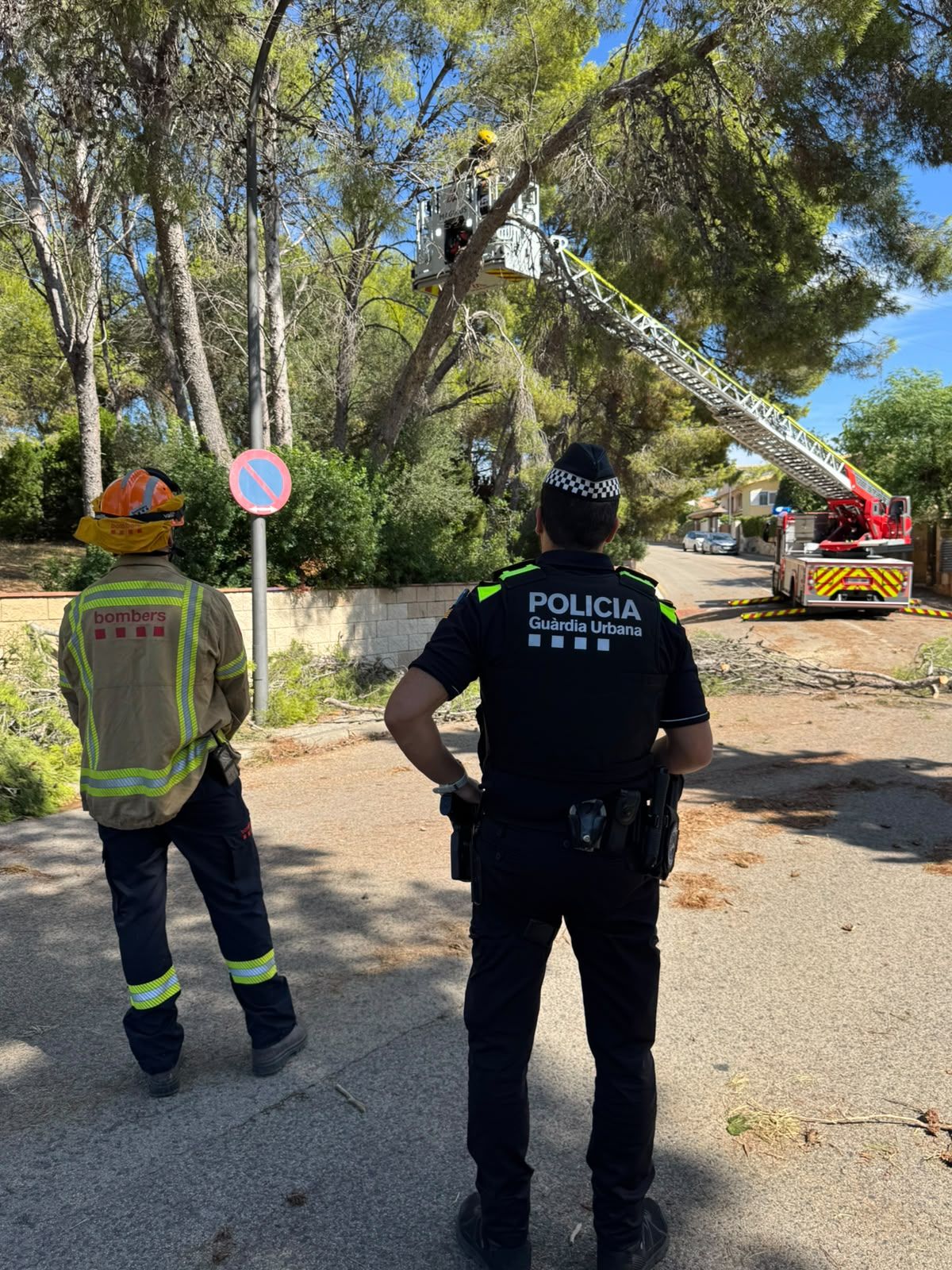 Bombers i Guàrdia Urbana de Tarragona treballen per garantir la seguretat als parcs després de la forta tempesta