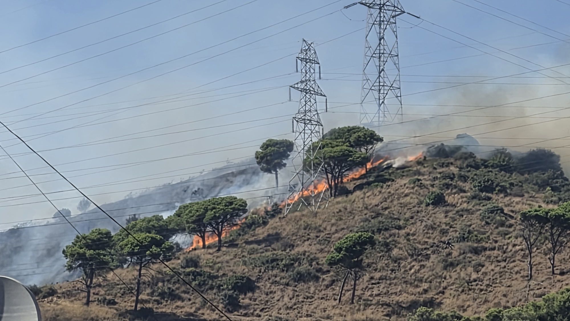 Vegetació cremant a l'incendi del barri de Canyelles, a Barcelona