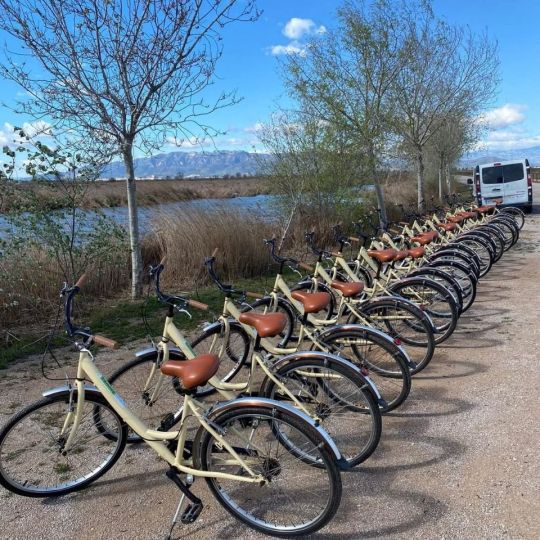 Detall de les bicis de l'empresa 4 camins Lloguer de Bicicletes.