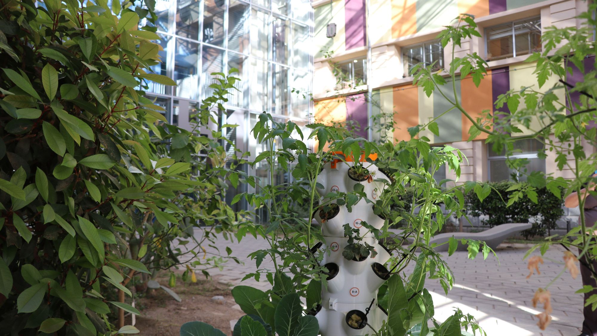 Hort vertical creat en el marc del projecte 'Torres de Vida' de la cooperativa Suara
