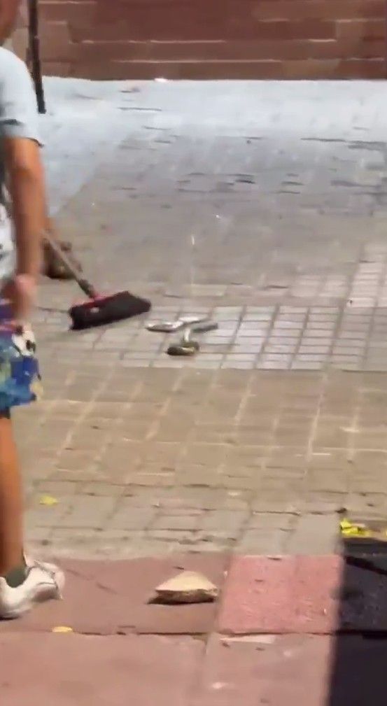 Imágenes captadas por vecinos de la zona y cedidas por la Asociación Gitana de Campclar