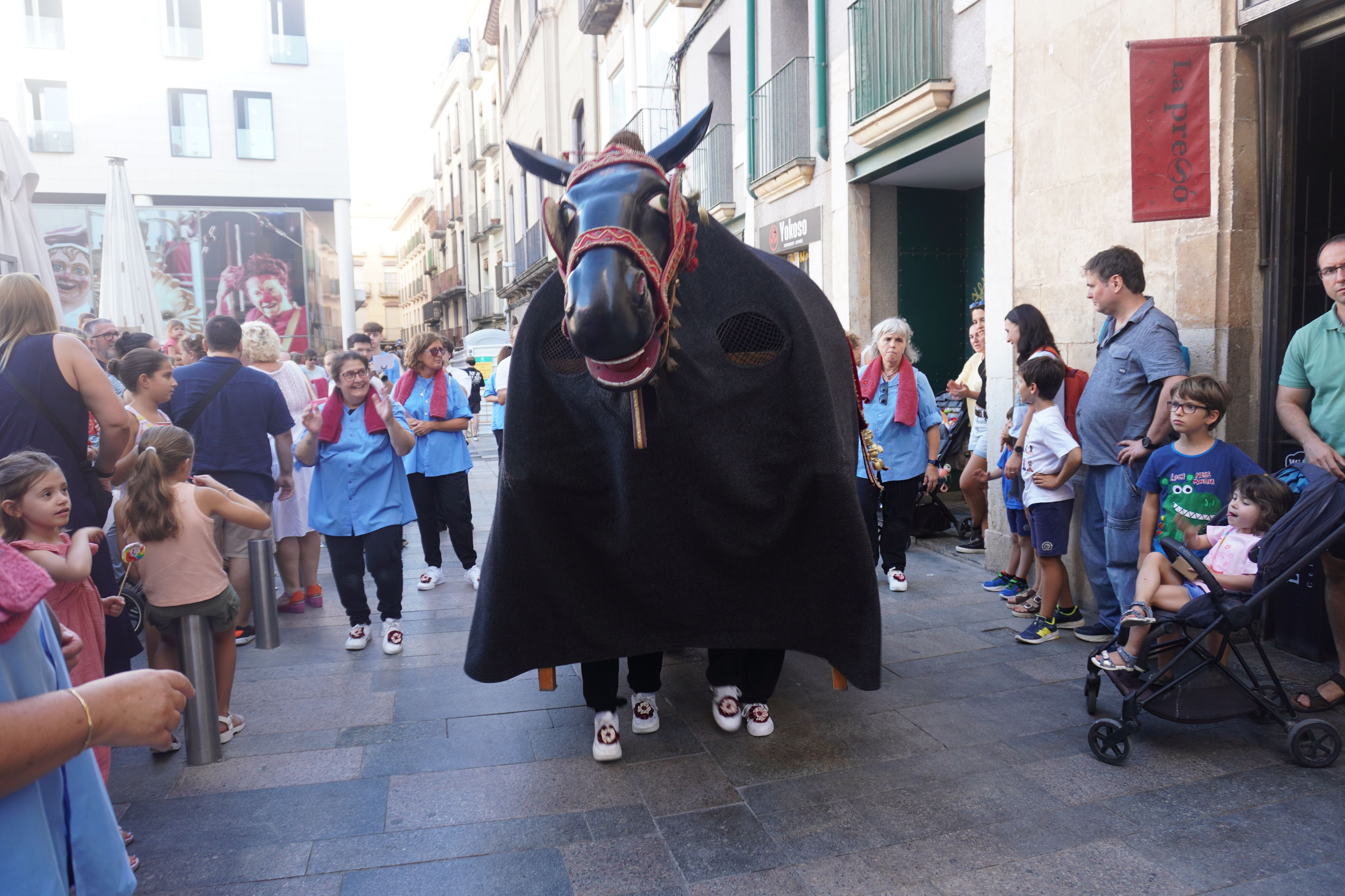 XXV Trobada de Gegants de Reus