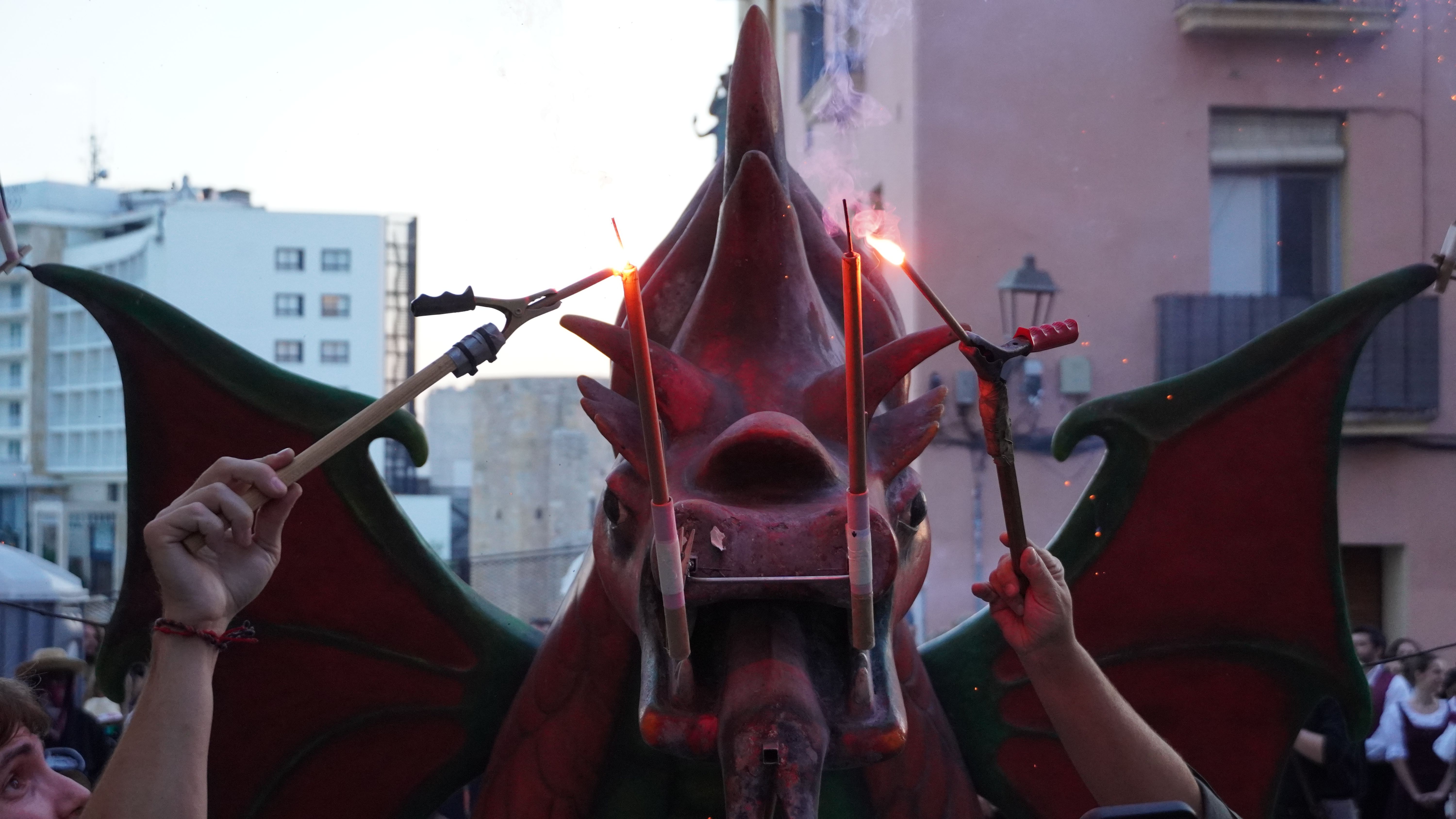 DSC01409