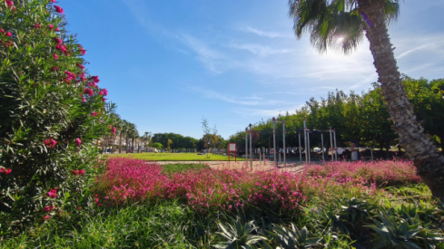 La nova àrea enjardinada a la vora de l'espai de cal·listènia