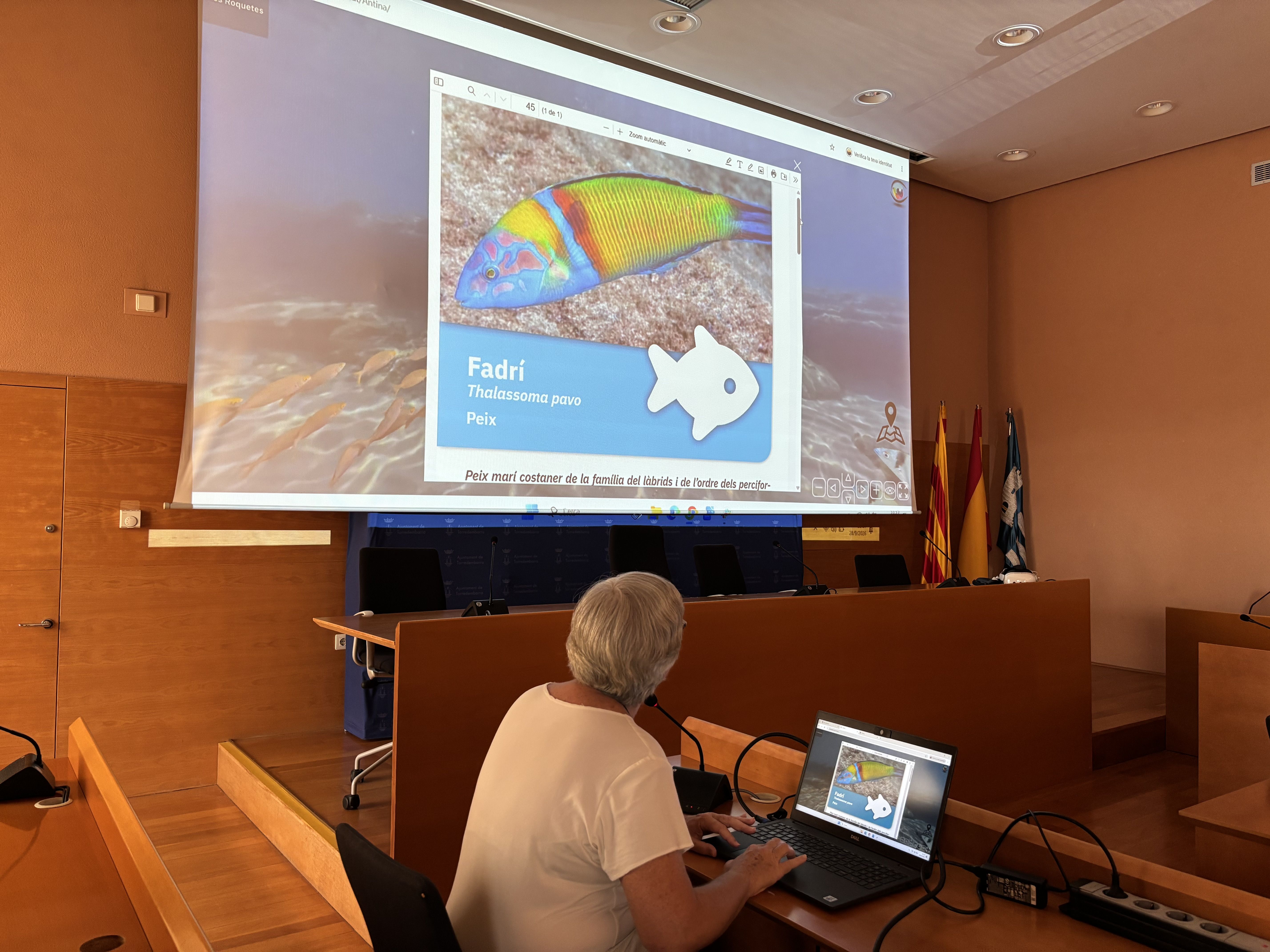 Torredembarra estrena una visita virtual en 360º para descubrir su fondo marino | FOTO: Ajuntament de Torredembarra