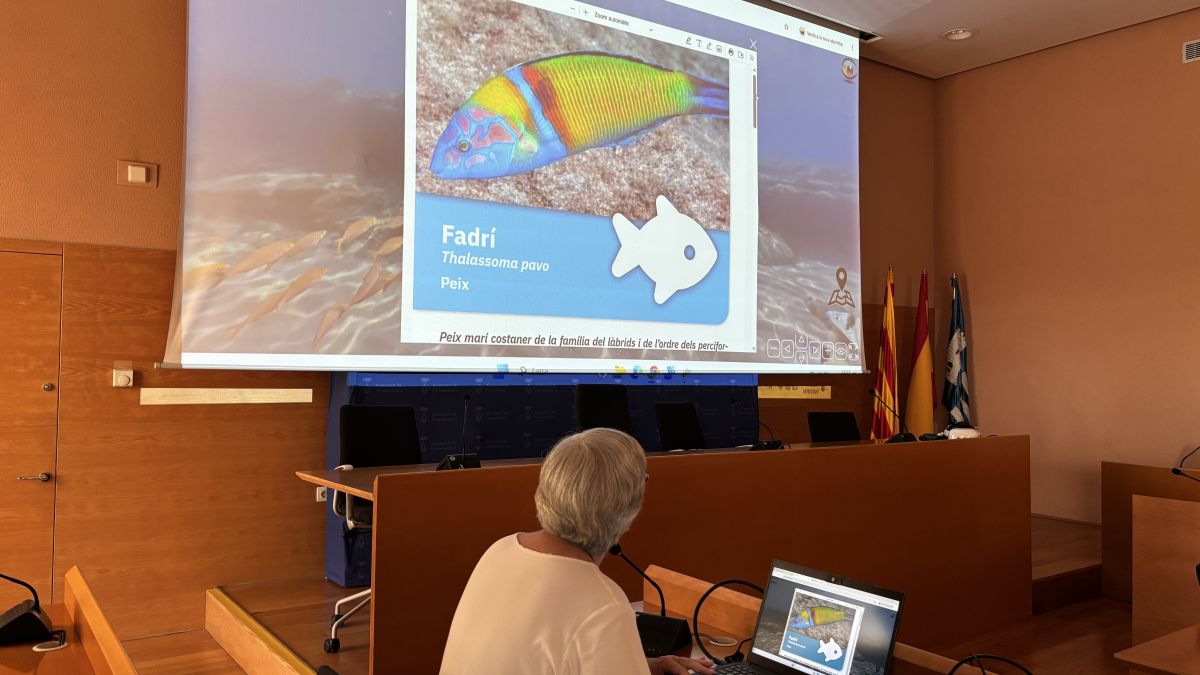 Torredembarra estrena una visita virtual en 360º per descobrir el seu fons marí