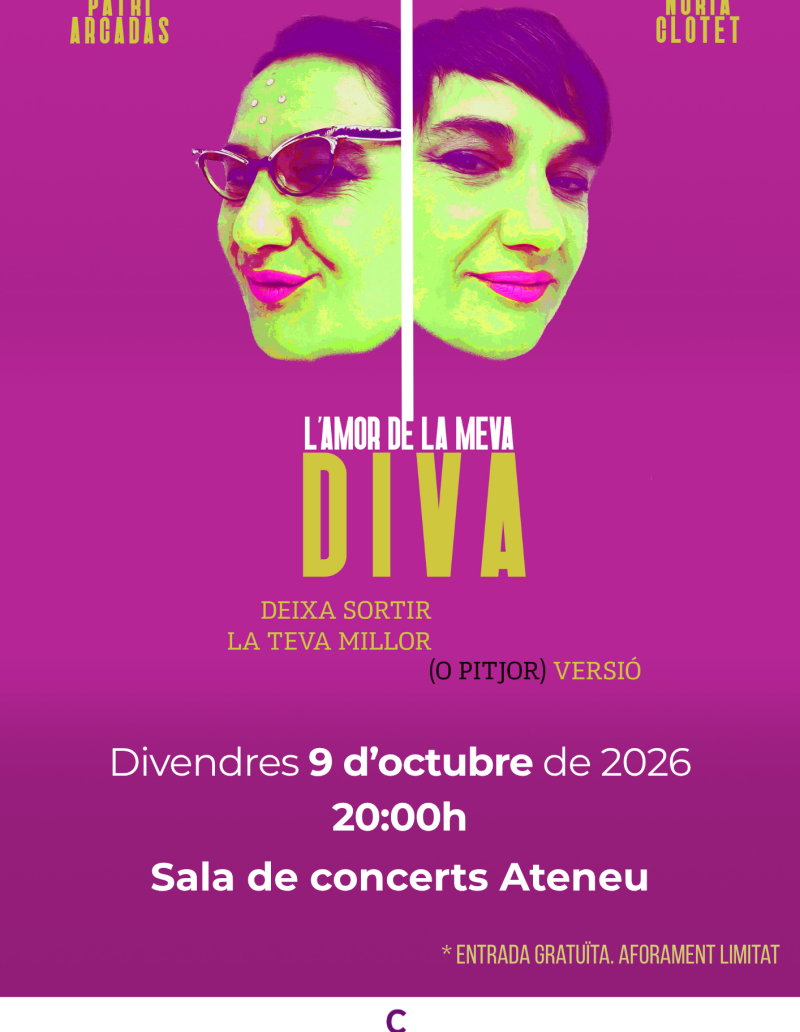 Cartell monoleg L'AMOR DE LA MEVA DIVA (1)
