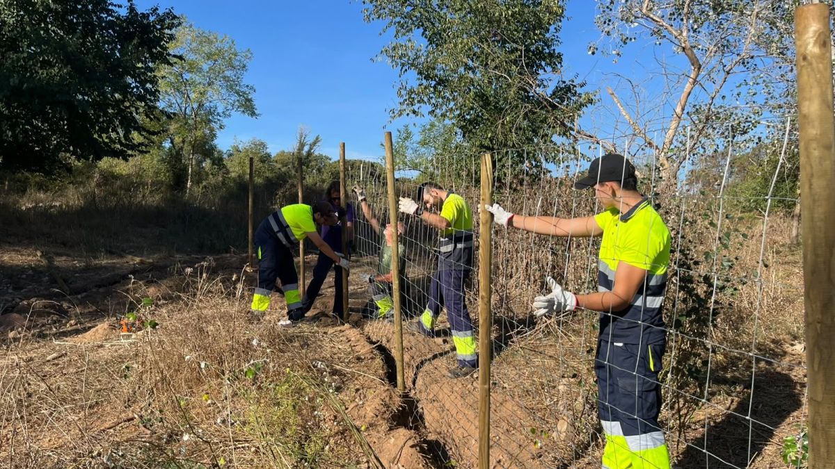 Medi ambient ensenyament Granja plantada escolar Ventura Gassol Associacio Aurora setembre 2026 3