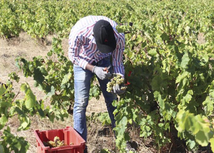 VinyaEmporda