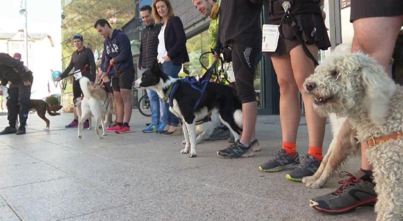 Fira Animalista d’Andorra organitzada per Laika i GosSOS