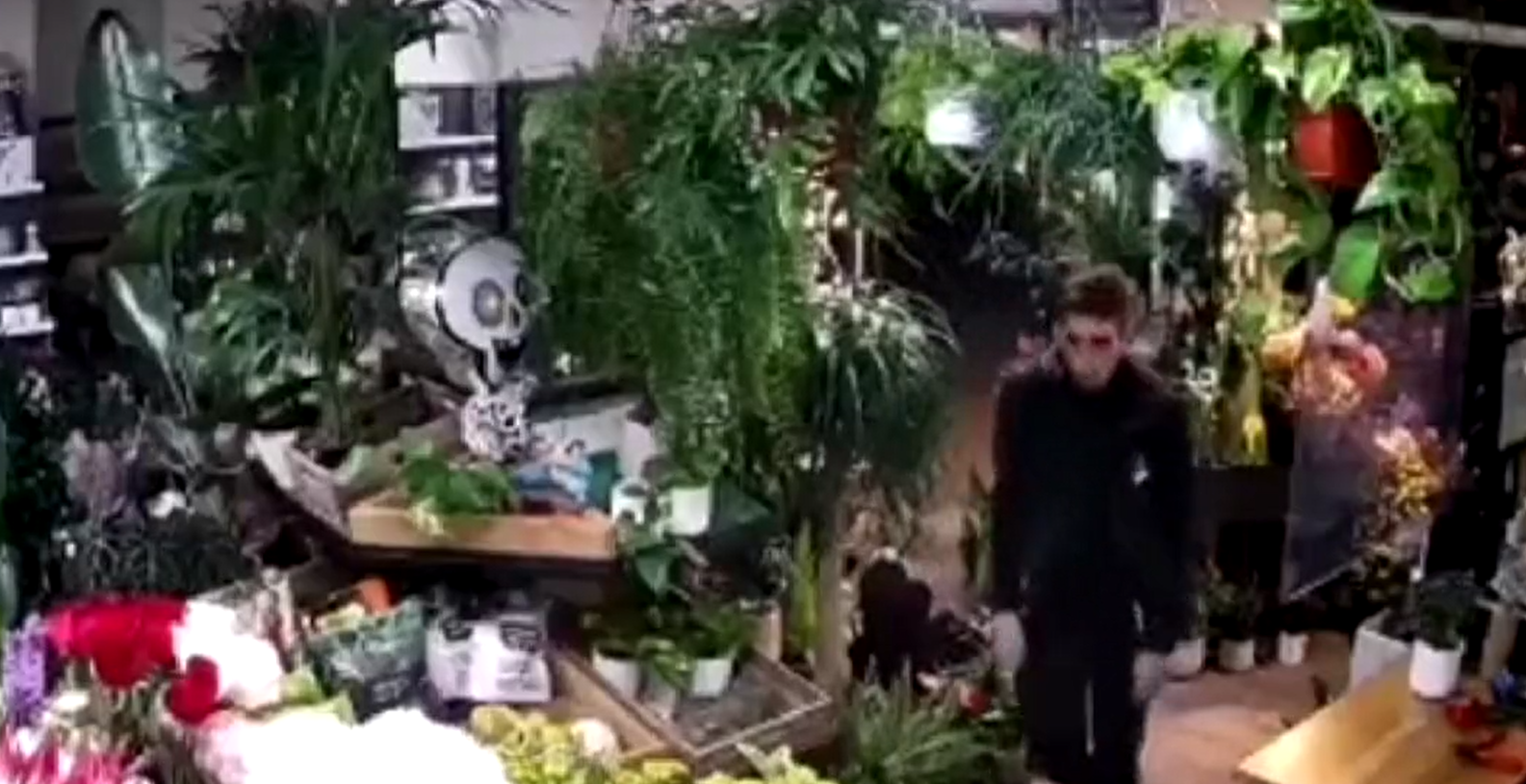 VÍDEO: Tracta de robar a una floristeria de Barcelona i l'enxampen