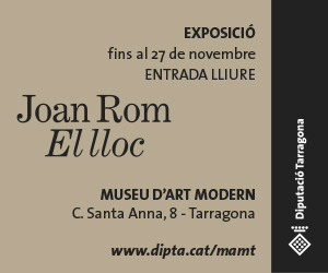 Expo Joan Rom- Diputació TGN