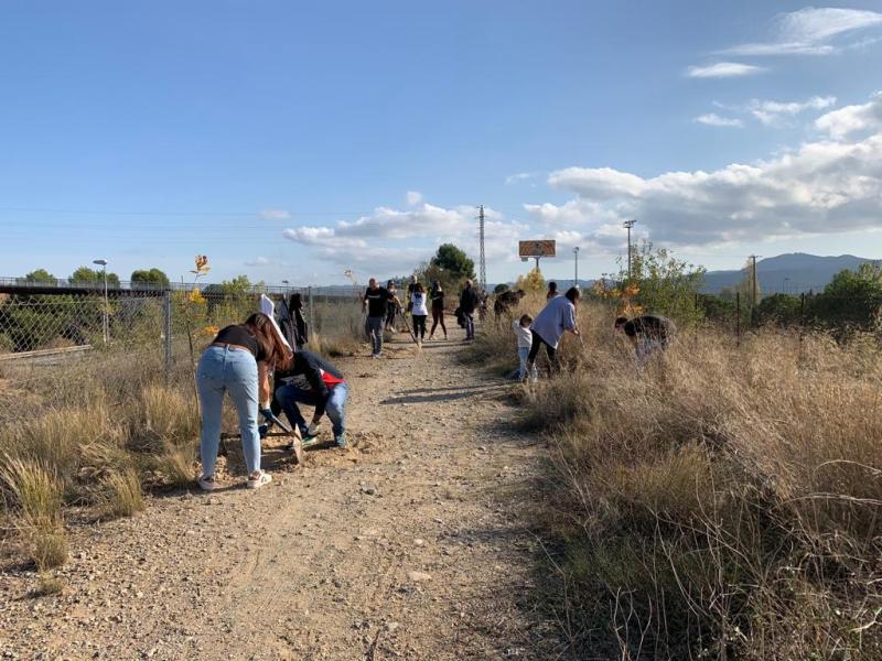 Mollet del Vallès plantarà més de 1.700 arbres i arbustos en 3 anys