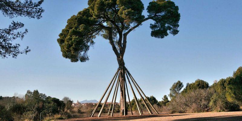 Localitzat sa i estalvi l’home de 83 anys desaparegut dissabte a Sant Cugat del Vallès