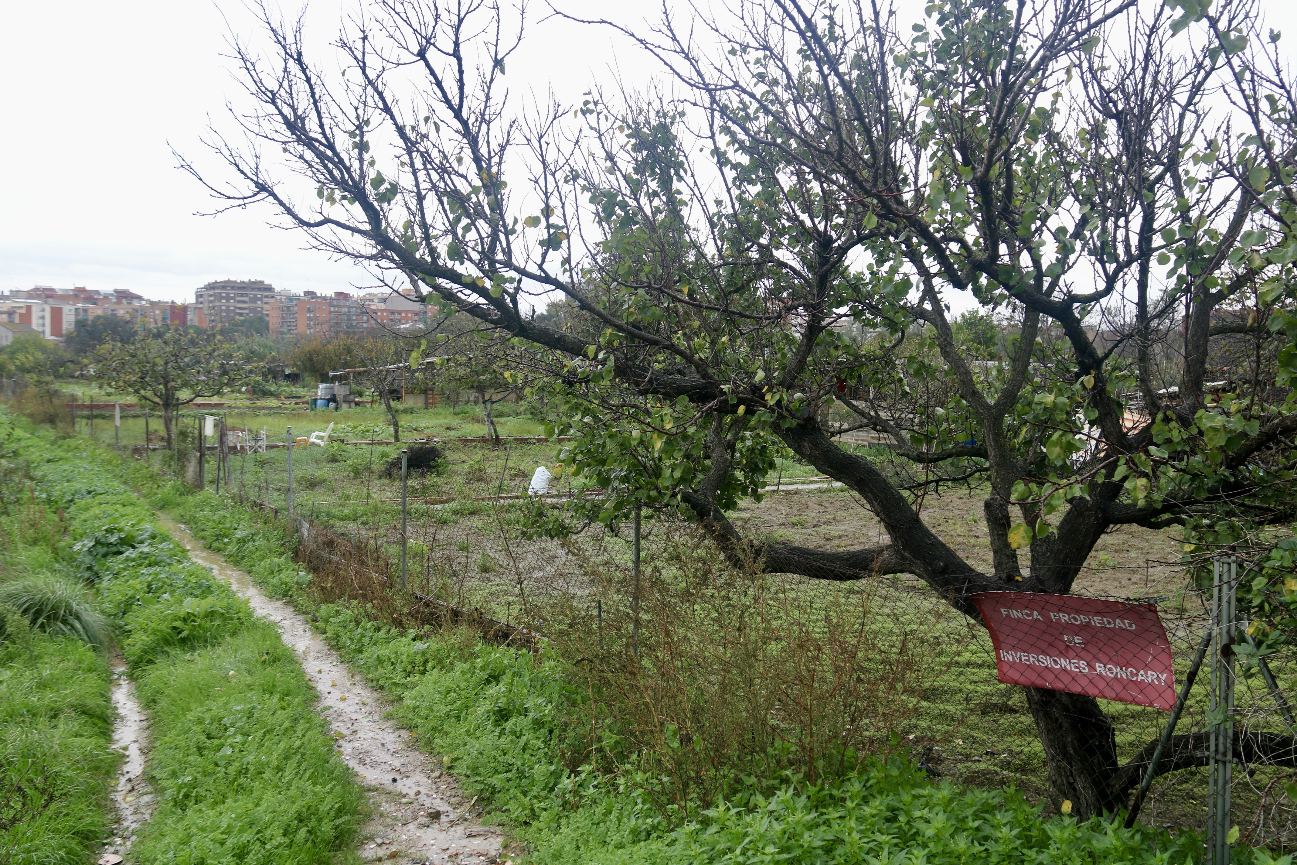Vista parcial de l'entorn del Calderí a Mollet del Vallès
