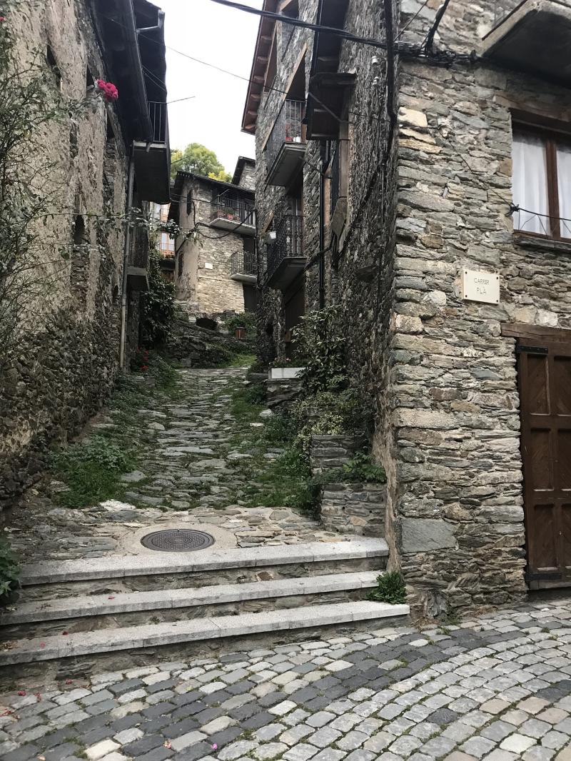 Carrer empedrat a Queralbs