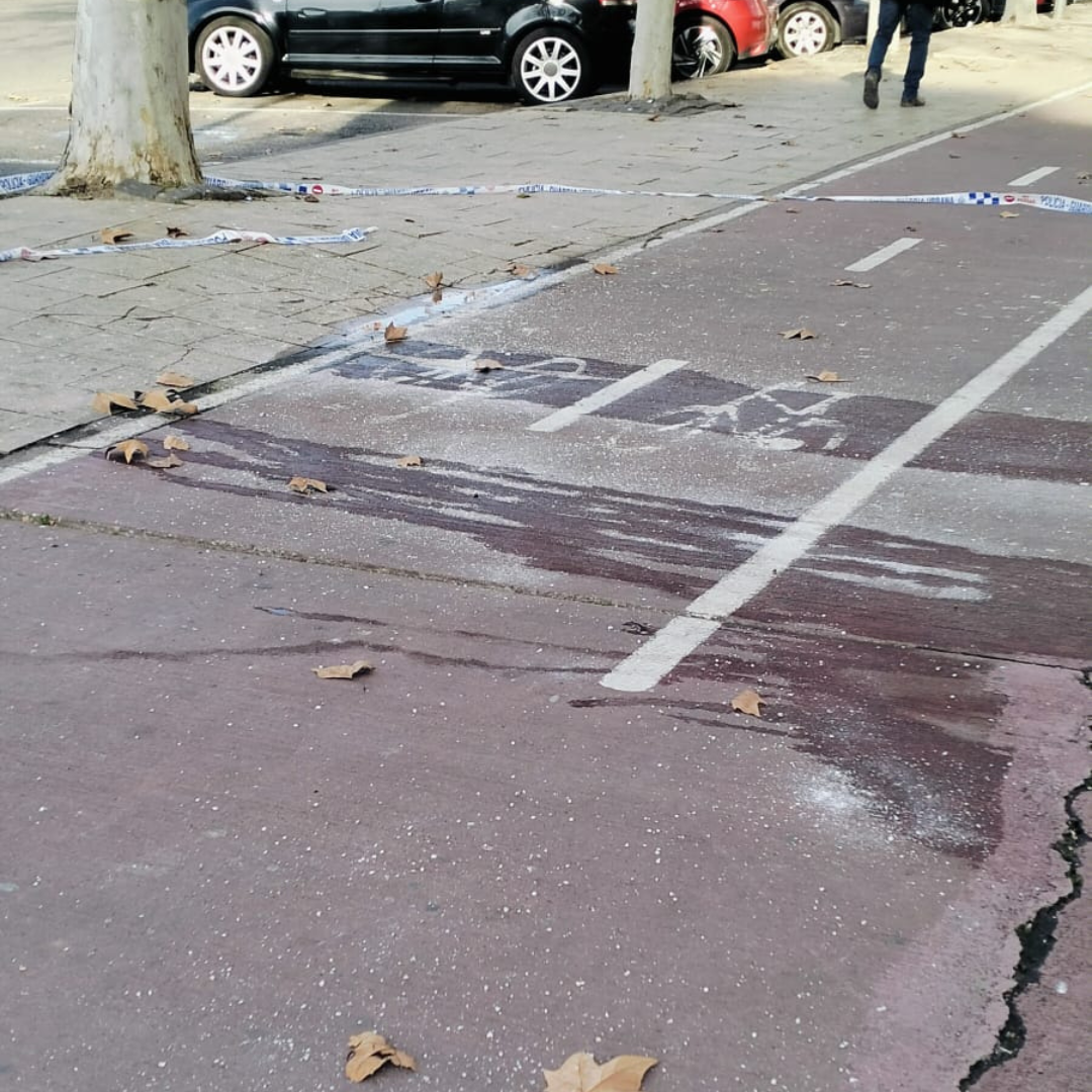 gelades Lleida sal