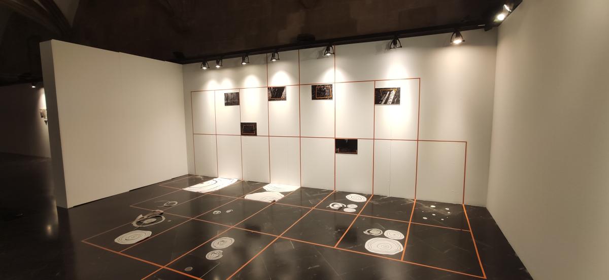 exposició IEI ‘Pronòstic, un estudi del bosc’